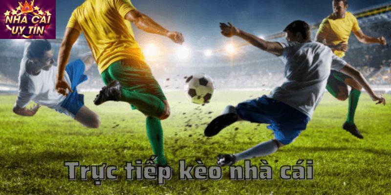 Hiểu rõ nhà cái và luật chơi